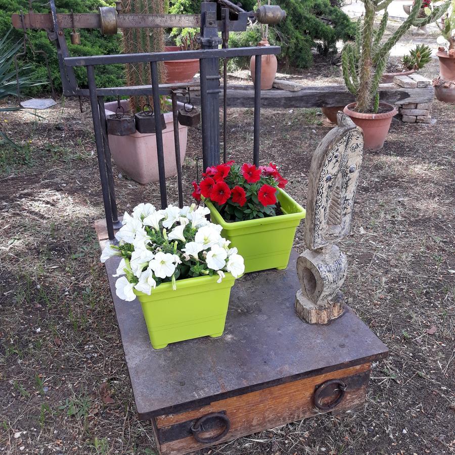 B&B Villa Garden Бишелие Екстериор снимка